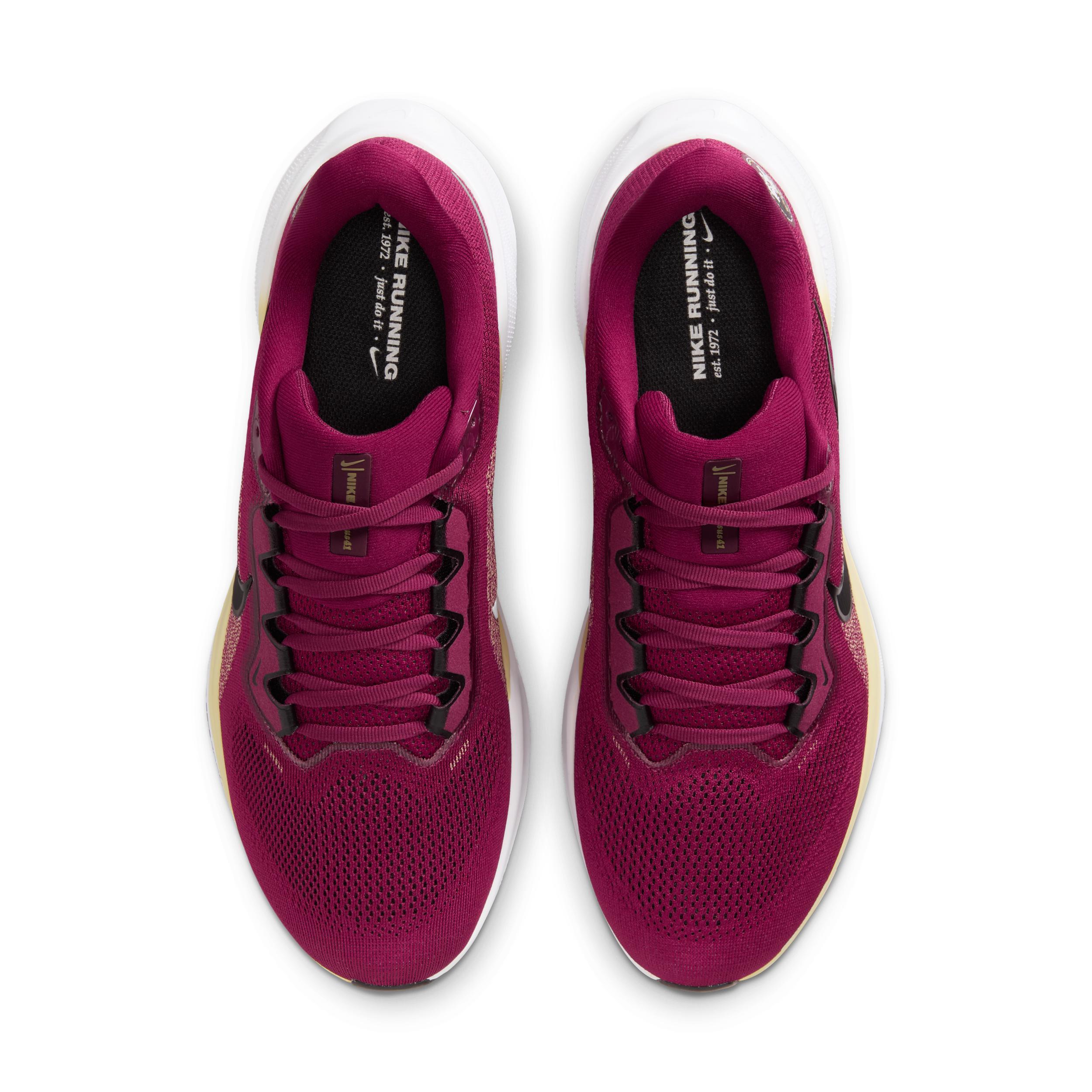 Florida State Pegasus 41 Nike Men's College Road Running Shoes Product Image