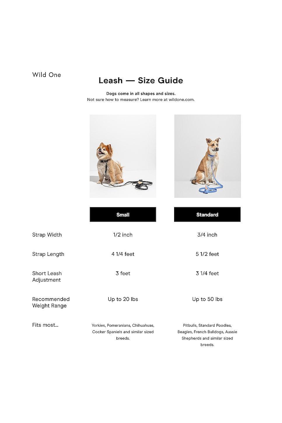 Leash Wild One Product Image
