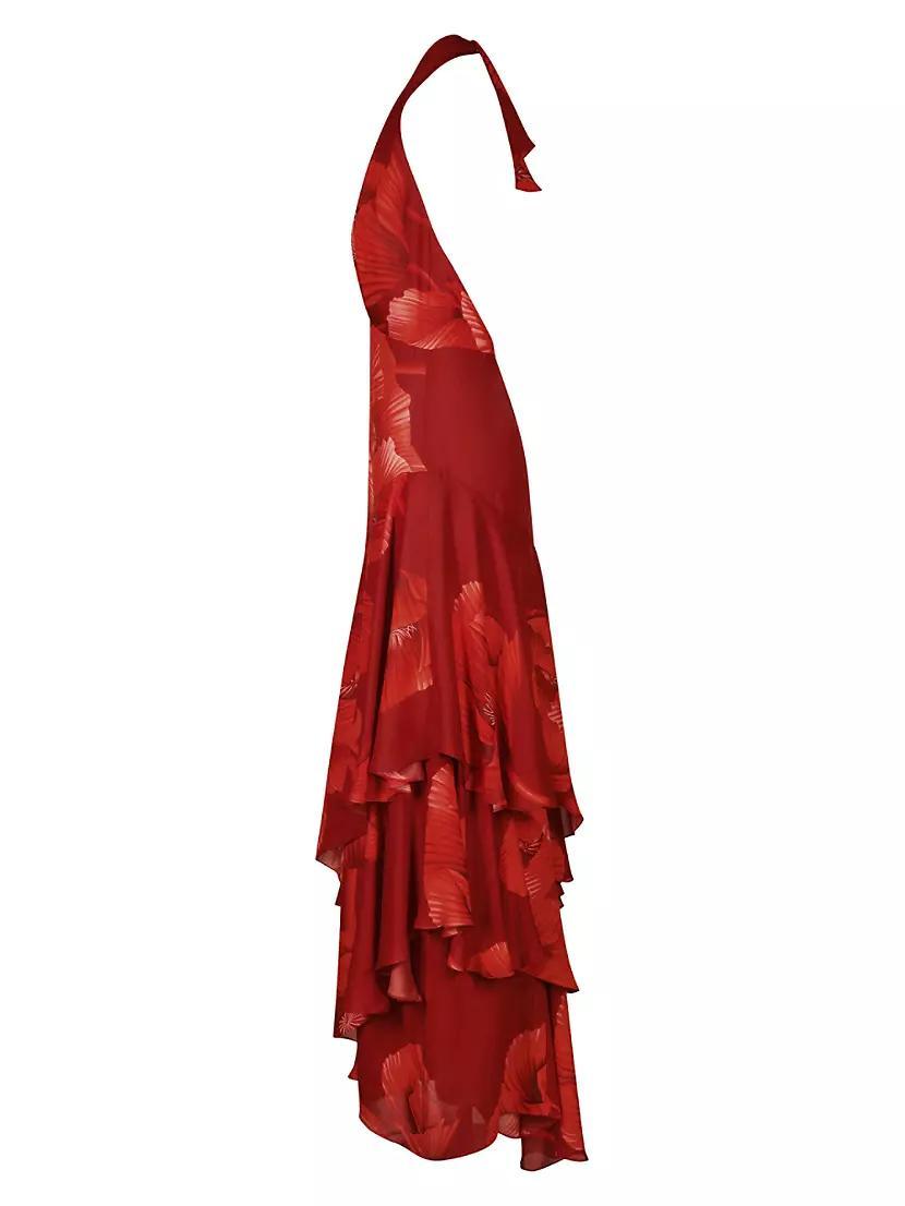 Womens Elusive Spirit Maxi Dress Product Image