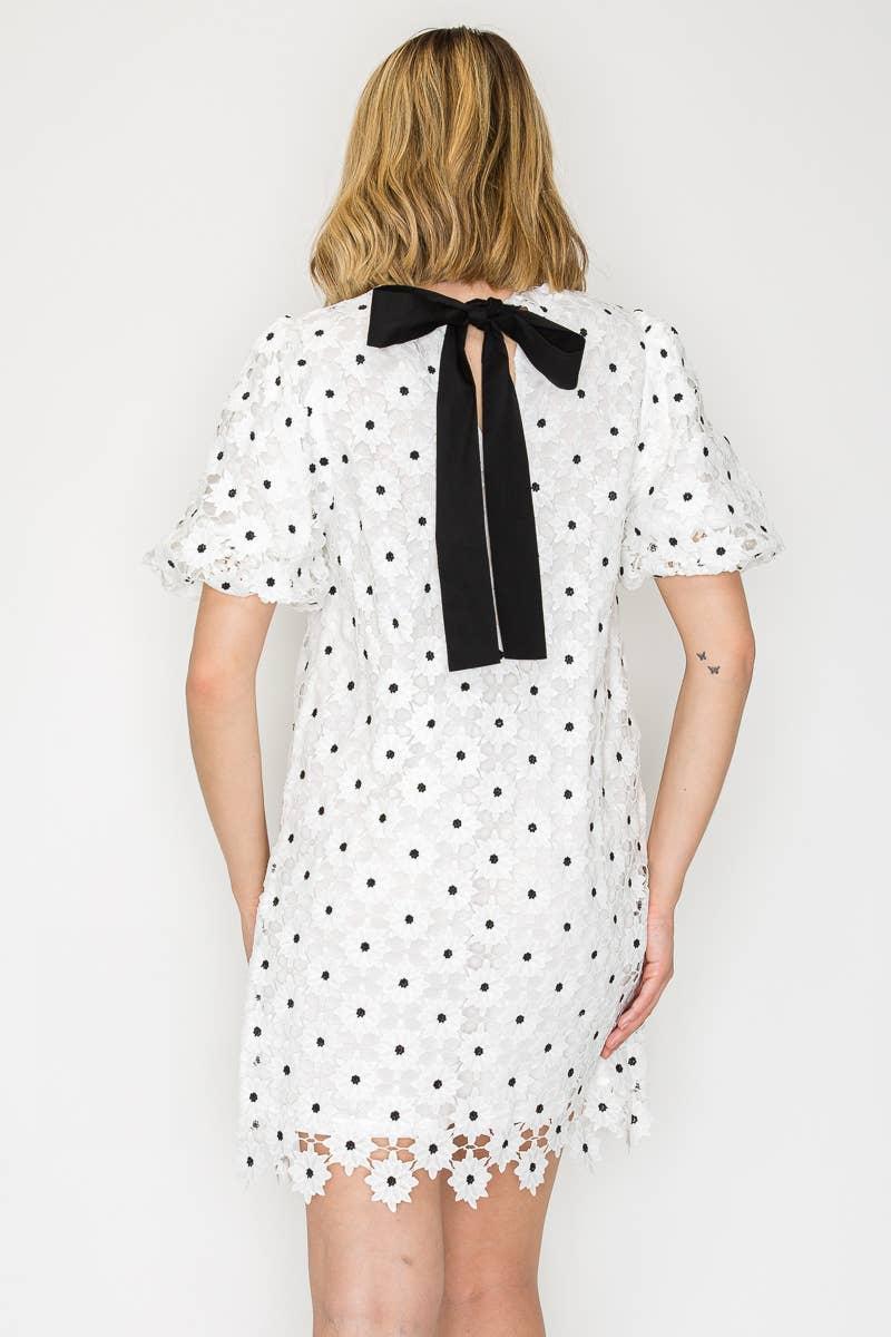 Daisy Polka Dot Lace Mini Dress Product Image