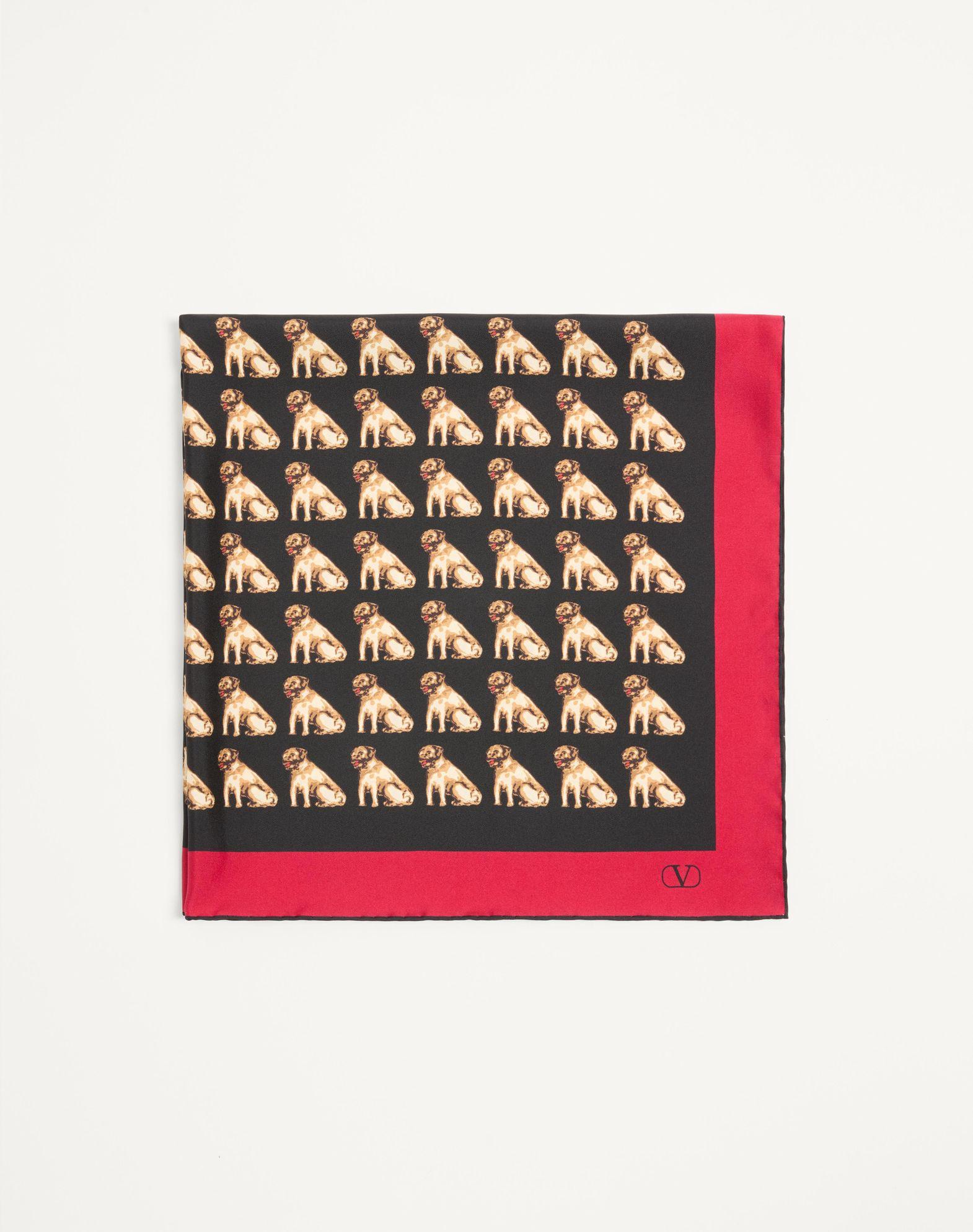 Petit Charles Silk Scarf Product Image