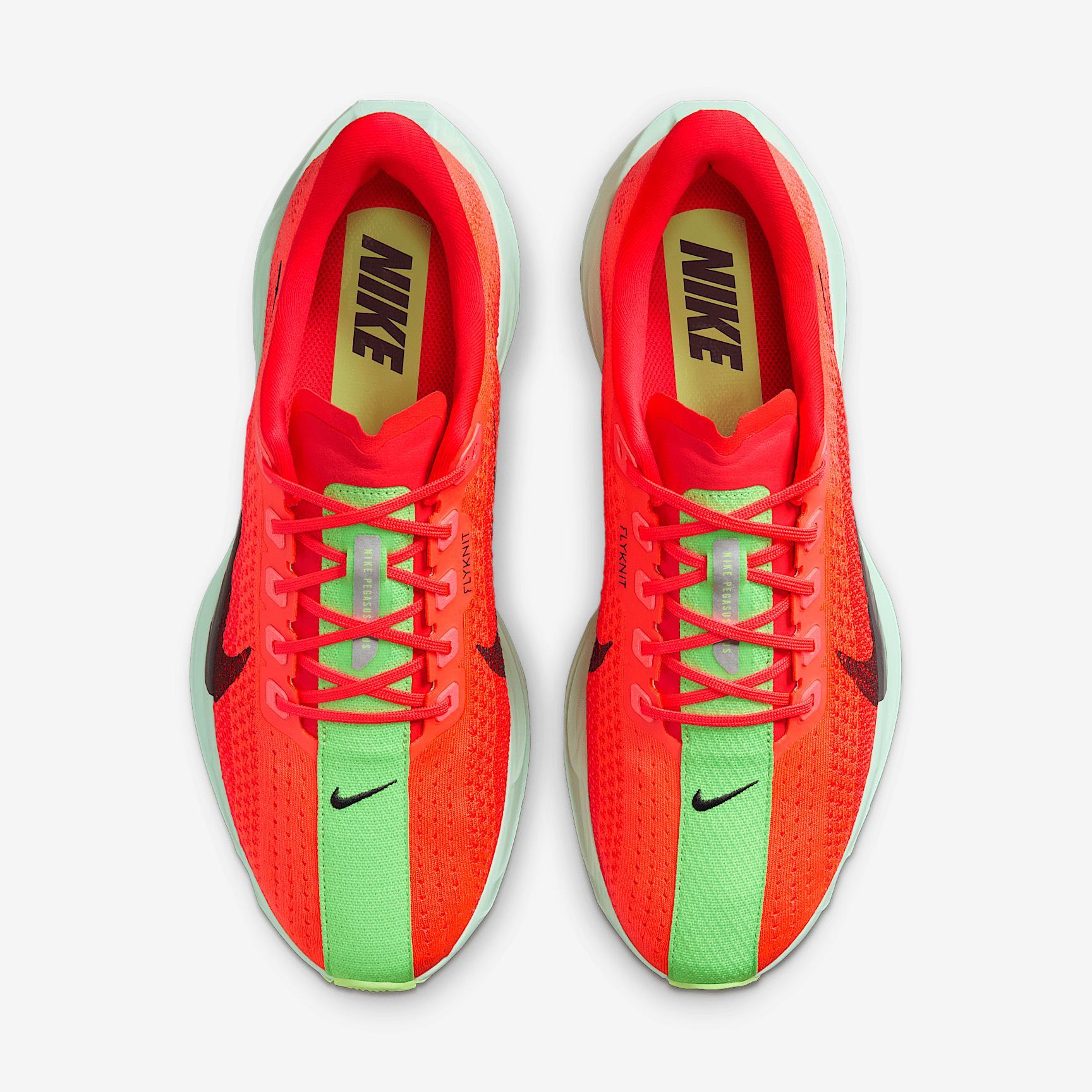 Nike Men's Pegasus Plus Road Running Shoes Product Image