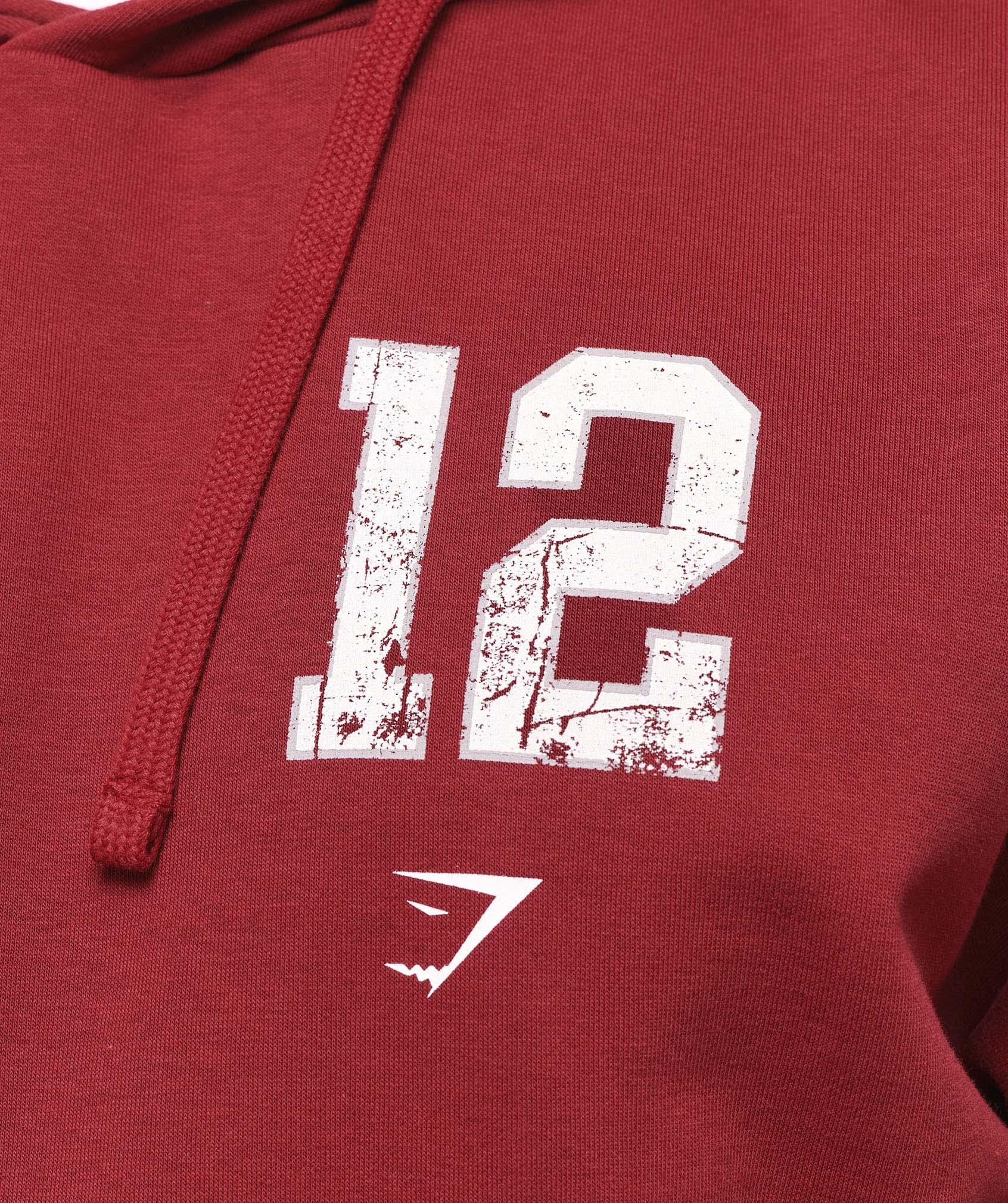 Campus Hoodie Product Image