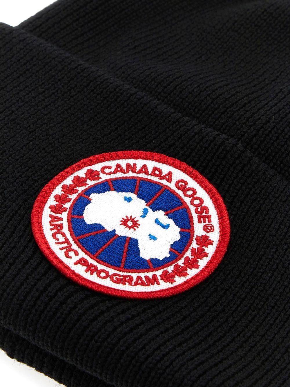Arctic beanie Product Image