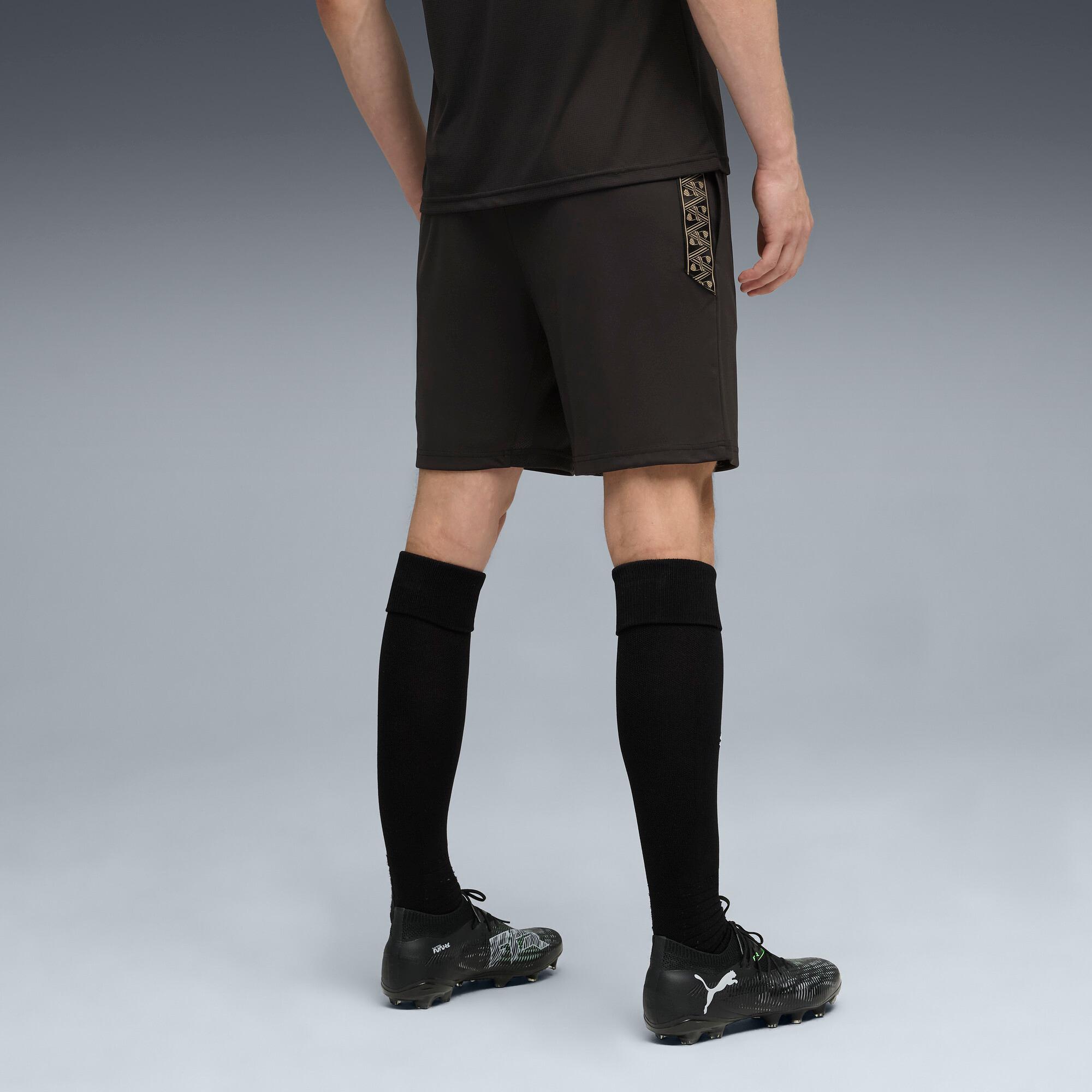 KINGtouch Shorts Men Product Image