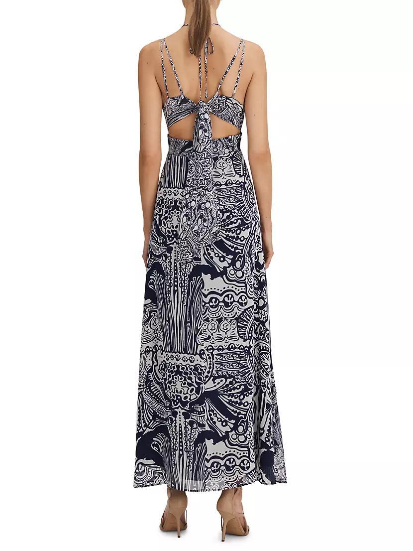 Quinn Printed Maxi Dress Product Image