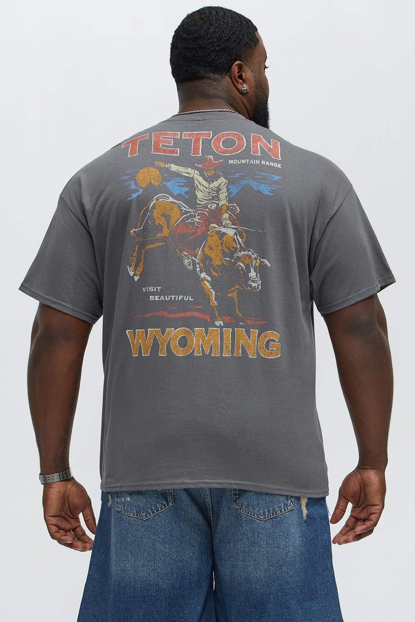 Teton Mountain Range Short Sleeve Tee - Charcoal Male Product Image