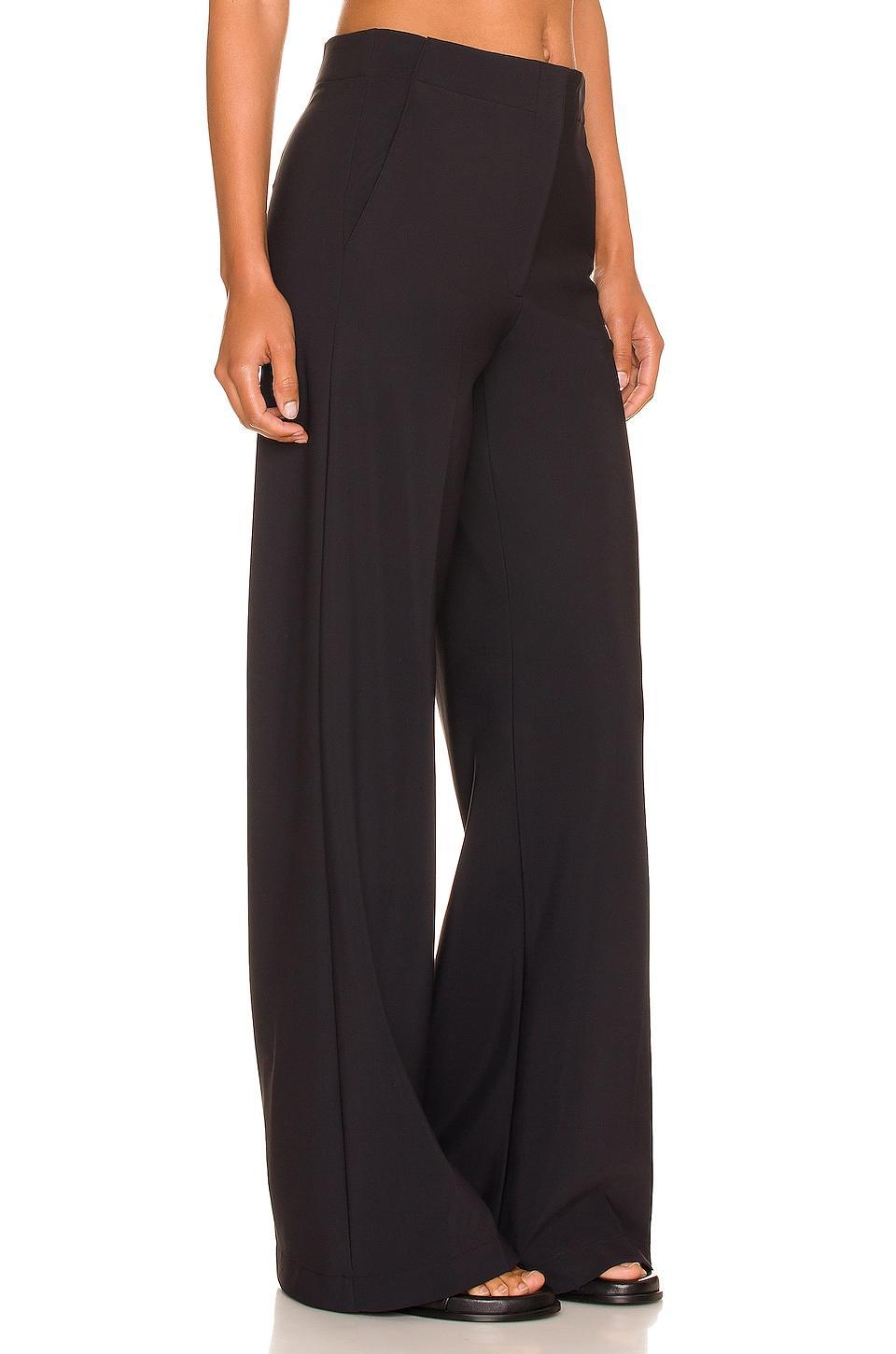 Womens Terena Wide-Leg Pants Product Image