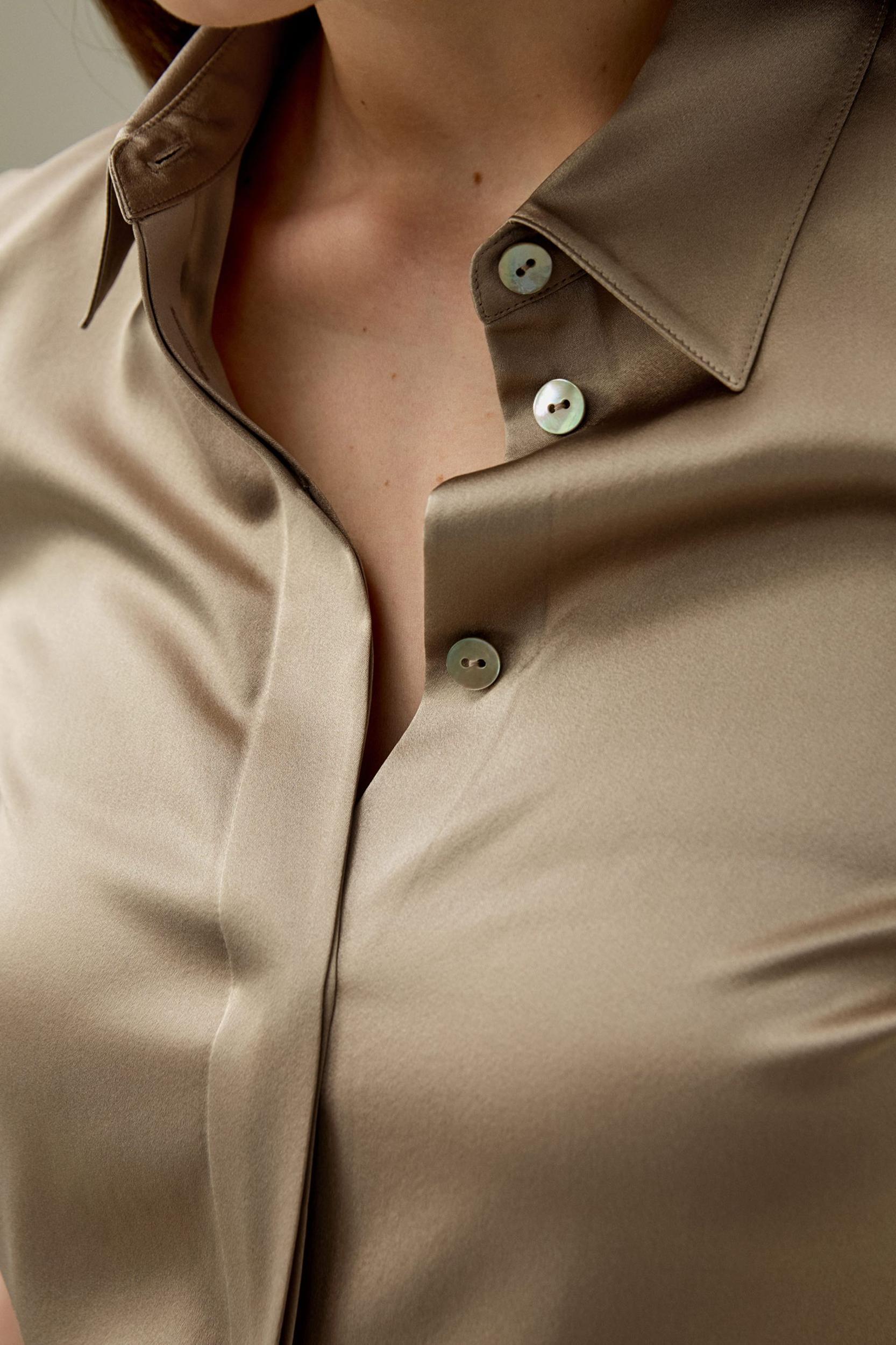Elegant Silhouette Silk Shirt Product Image