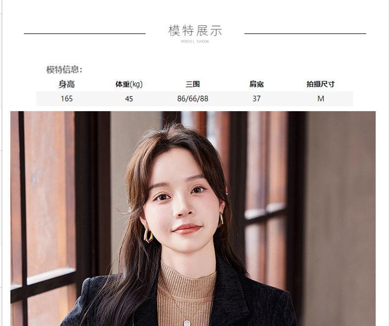 Lapel Neck Plain Double Breasted Blazer Product Image