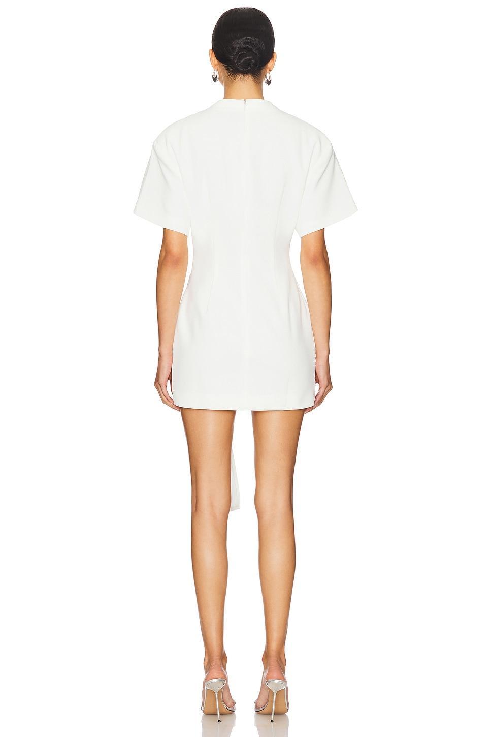 Martini Mini Dress LIONESS Product Image