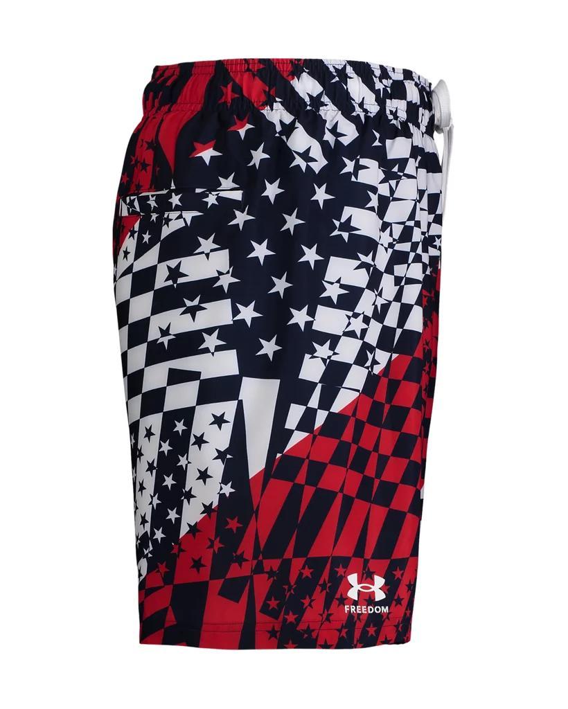 Men's UA Flag Streamer Volley Shorts Product Image