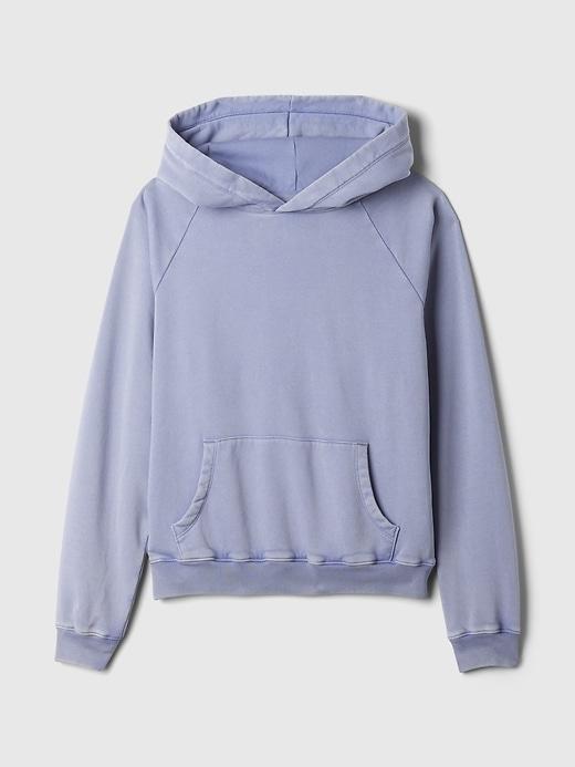 VintageSoft Hoodie Product Image