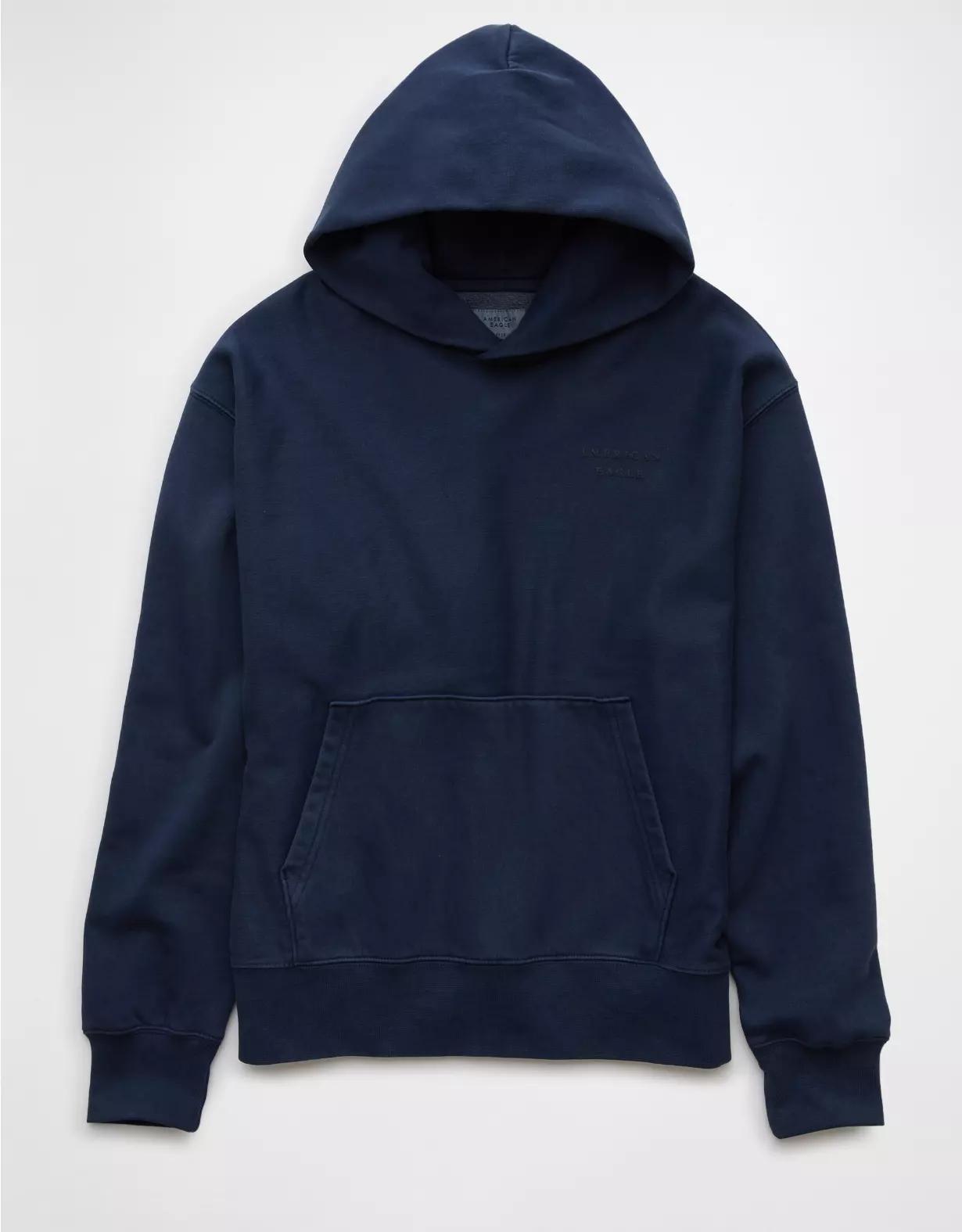 AE Laidback Luxe Heavyweight Logo Hoodie Product Image