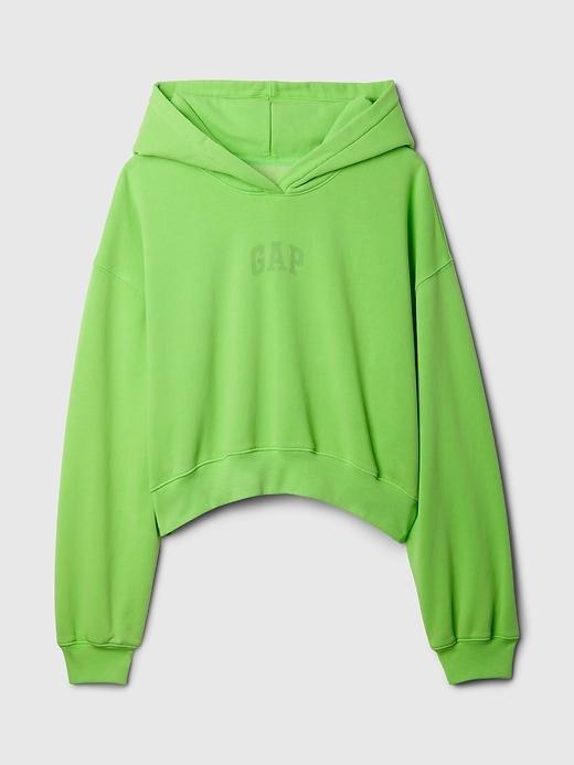 VintageSoft Cropped Hoodie Product Image