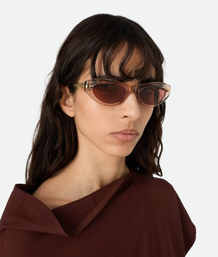 Women's Classic Cat Eye Sunglasses in Brown Product Image