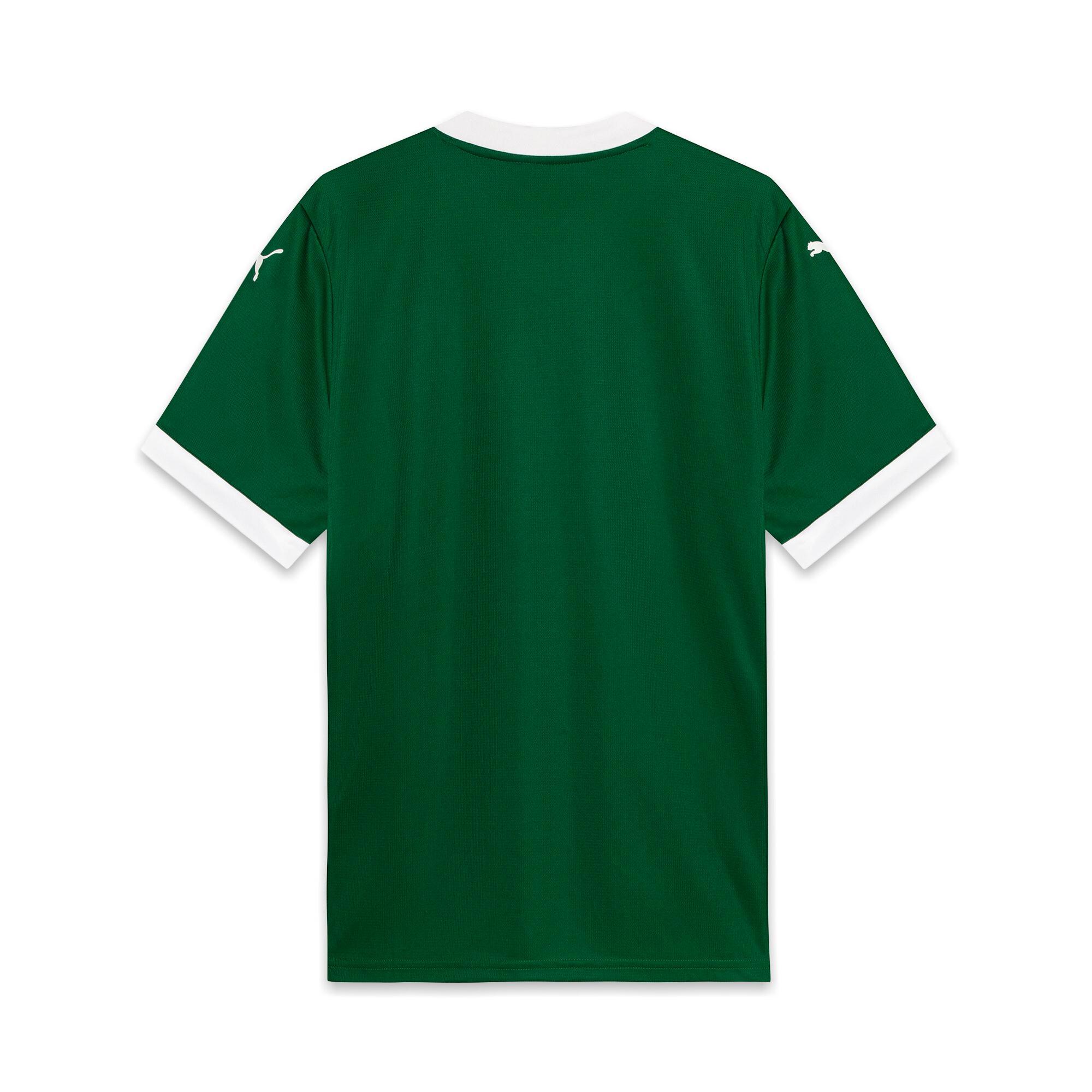 Palmeiras Torcedor Home Jersey 25 Men Product Image