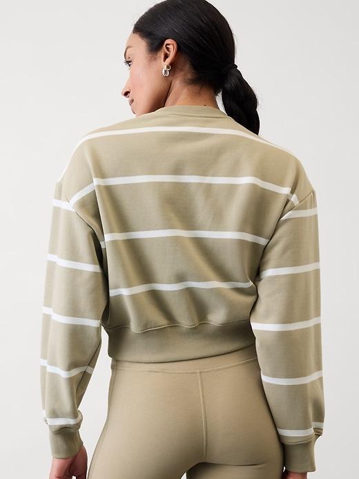 Heavyweight Terry Crop Crew Sweatshirt Product Image