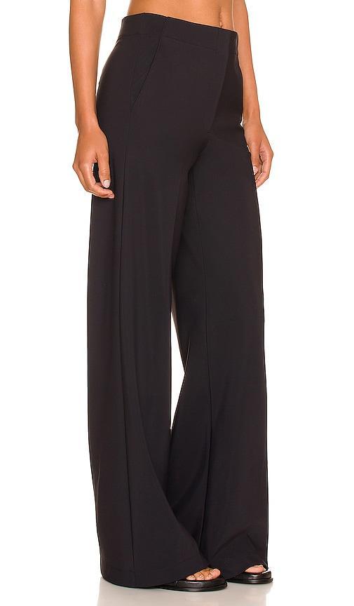 Womens Terena Wide-Leg Pants Product Image
