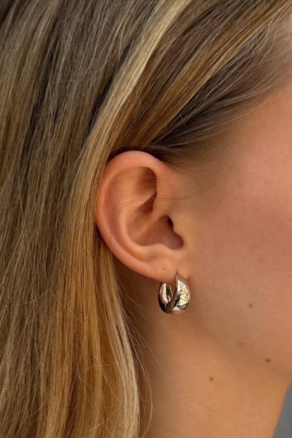 Hoop Earrings Product Image