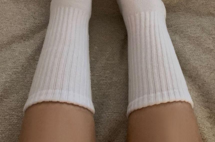 Plain Ribbed Socks Product Image
