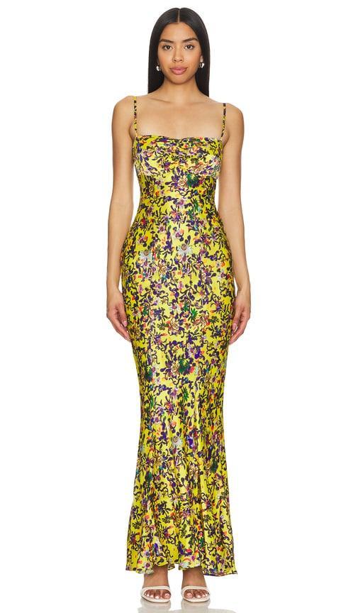 Renee Long Dress SALONI Product Image