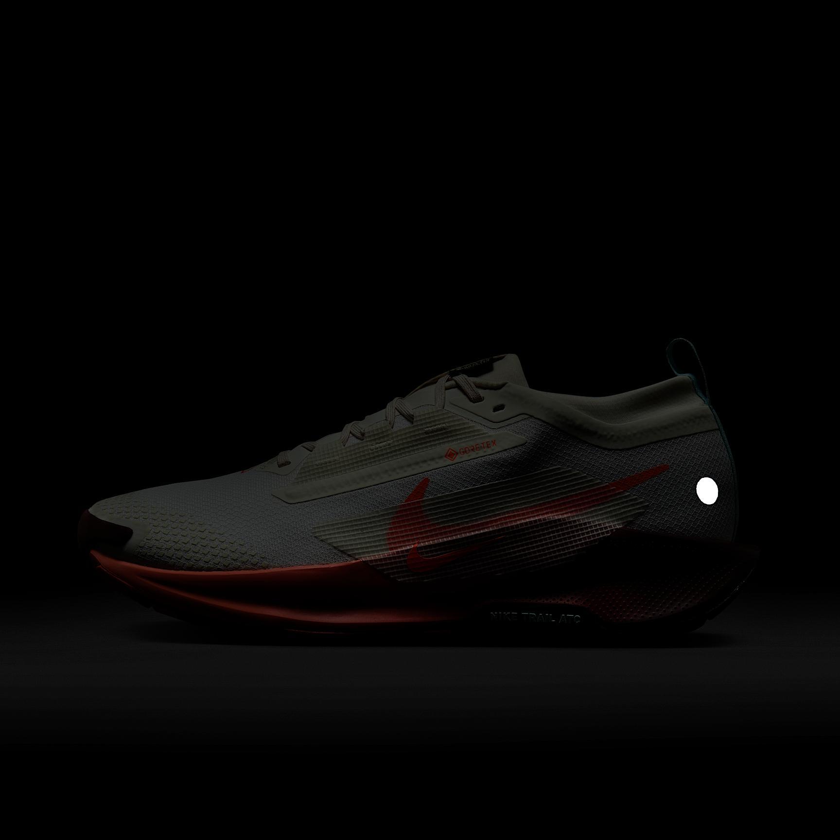 Nike Men's Pegasus Trail 5 GORE-TEX Waterproof Trail Running Shoes Product Image
