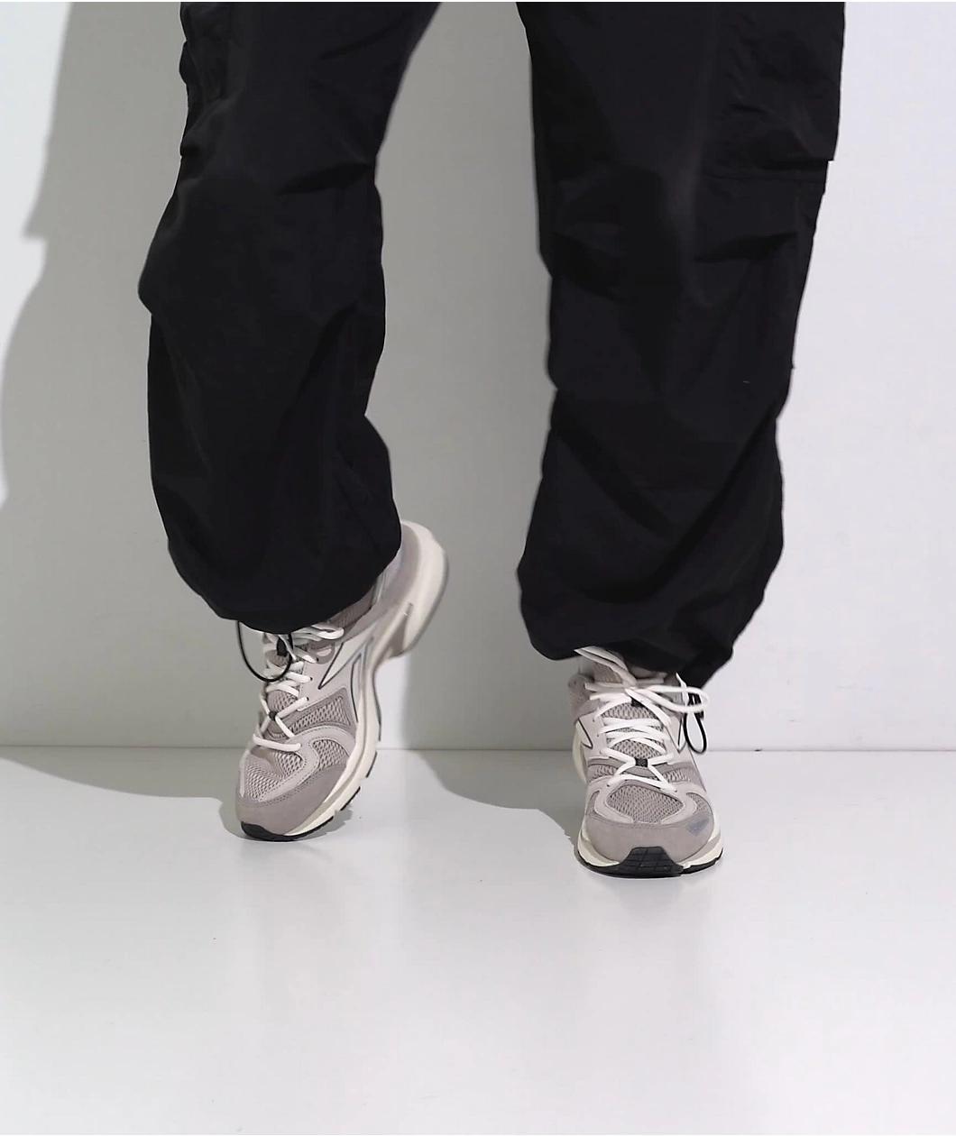 Reebok Premier Road Plus VI Ash & Moonstone Shoes Product Image