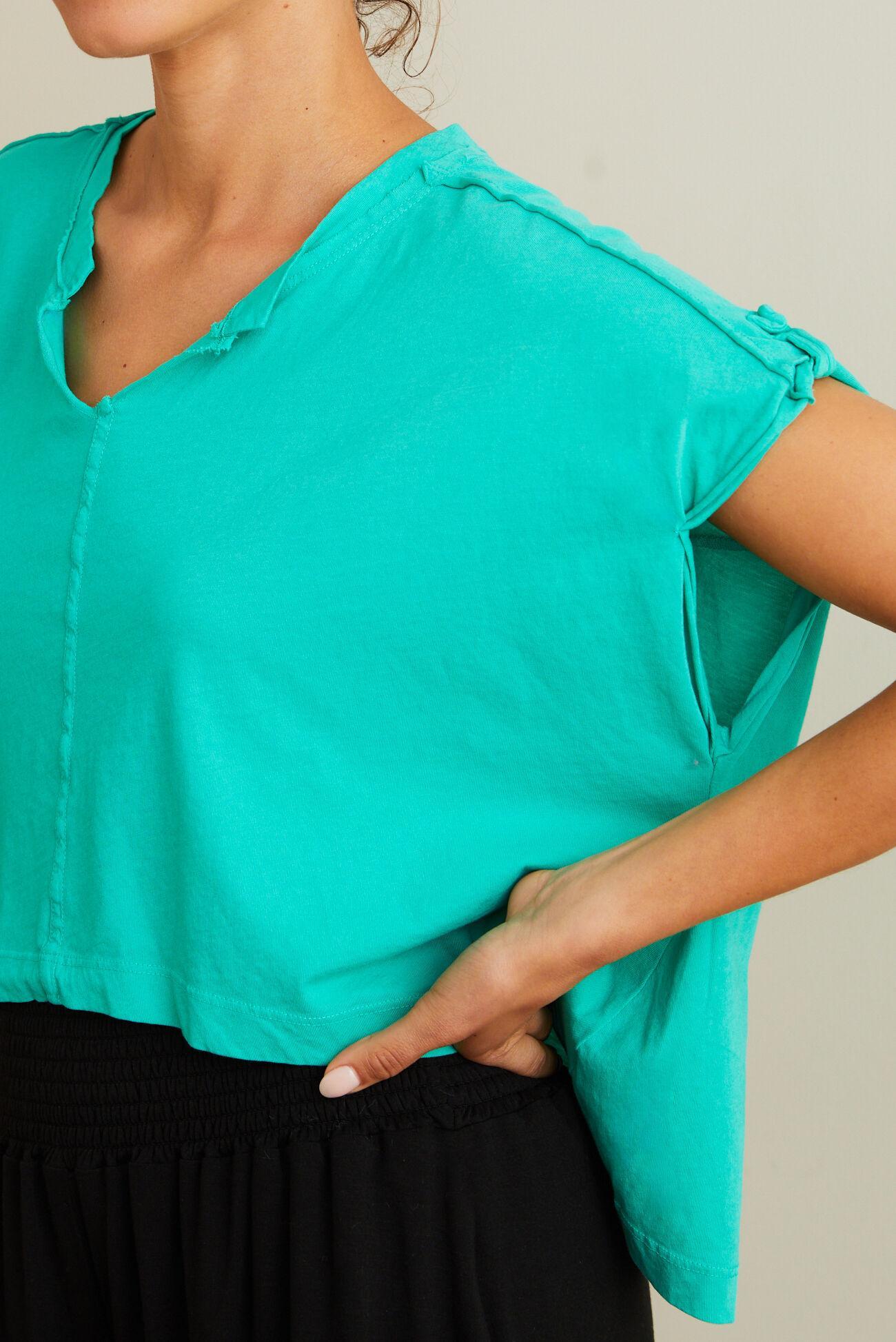 Revamp Cropped Top Product Image