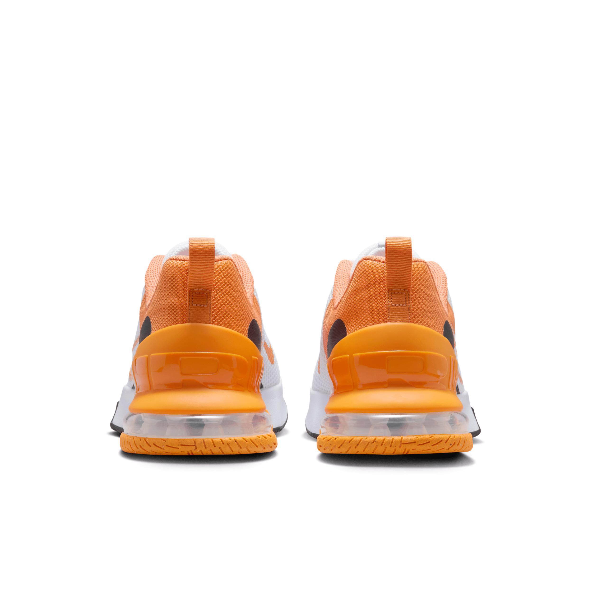 Nike Air Max Alpha Trainer 6 Men's Workout Shoes Product Image