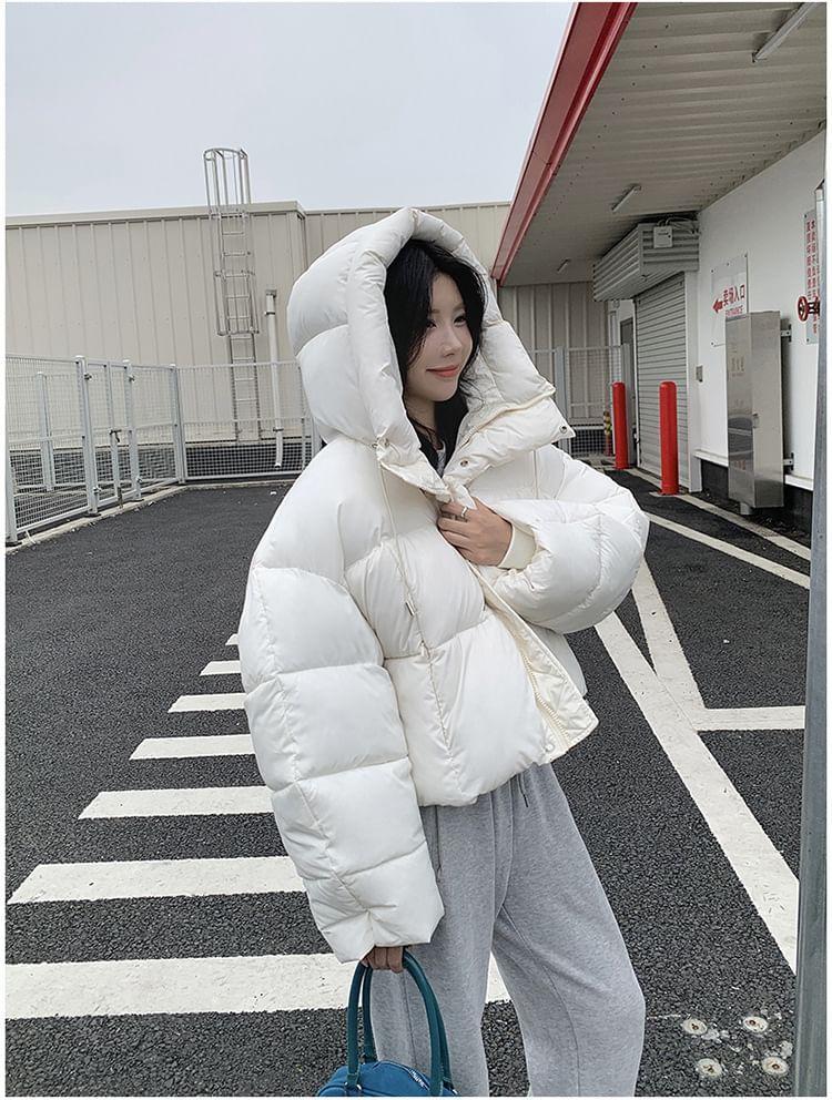 Plain Hooded Zip-Up Crop Puffer Jacket Product Image