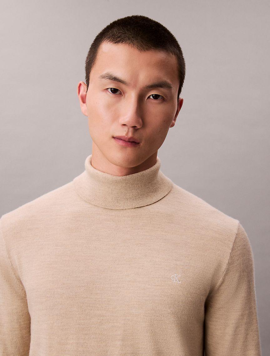 Extra Fine Merino Blend Turtleneck Sweater Product Image
