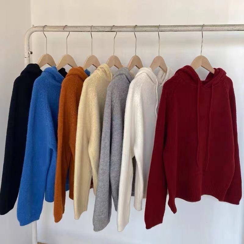 Plain Knit Hoodie Product Image