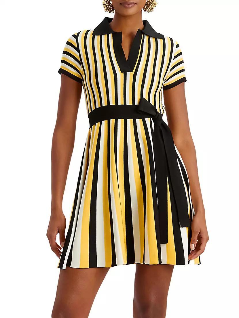 Plaza Mini Dress Product Image