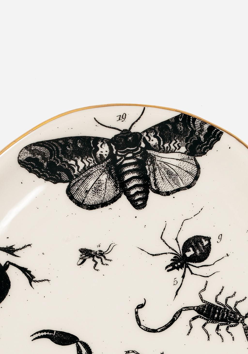 Parasite Bugs Print Trinket Dish Product Image