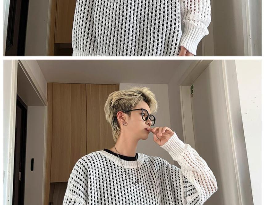 Crew Neck Plain Pointelle Knit Sweater Product Image