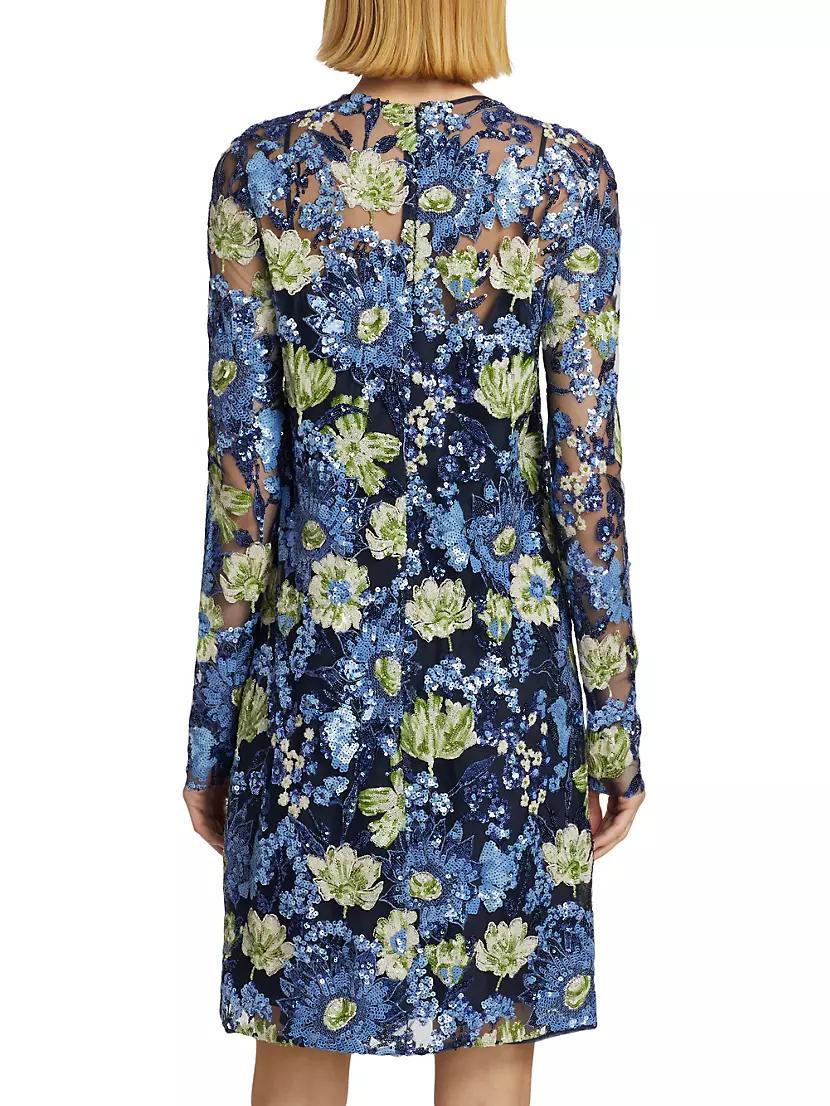 Embroidered Tulle Shift Dress Product Image