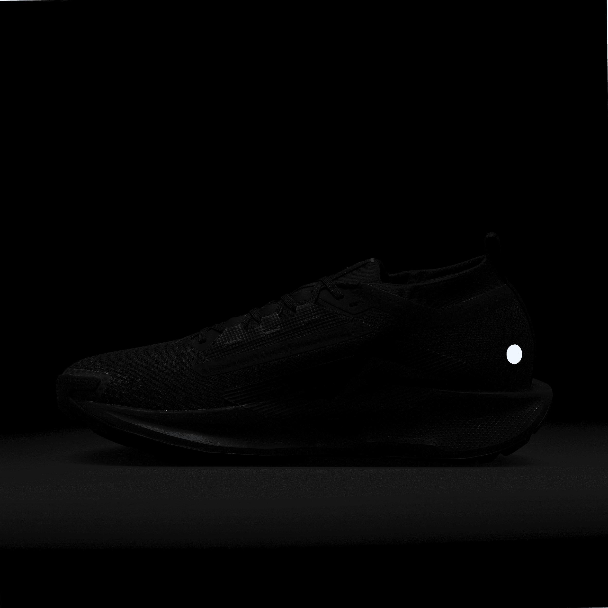 Nike Men's Pegasus Trail 5 GORE-TEX Waterproof Trail Running Shoes Product Image