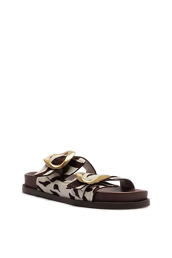 Schutz Olga Sporty Buckle Sandal Womens at Urban Outfitters Product Image