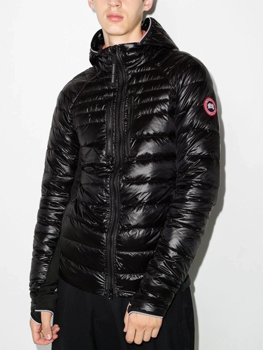 CANADA GOOSE Black Hybridge Lite Padded Jacket Product Image