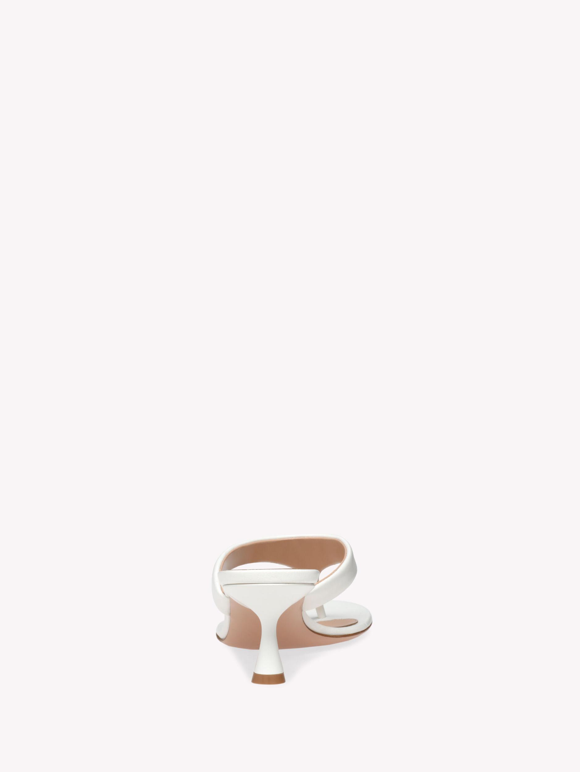 ASCENT THONG 55 Gianvito Rossi Product Image