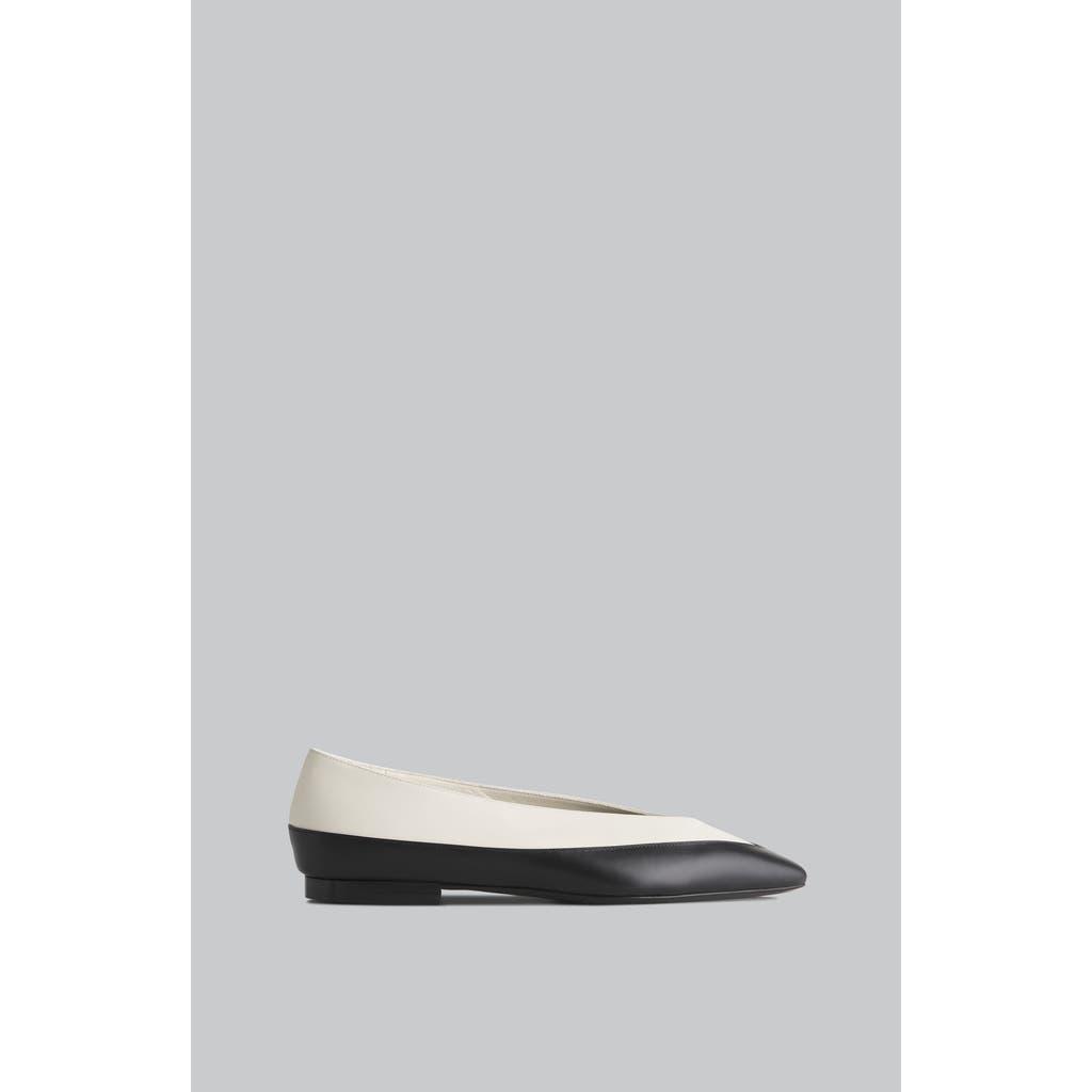 CO Leather Ballet Flats In Black Product Image