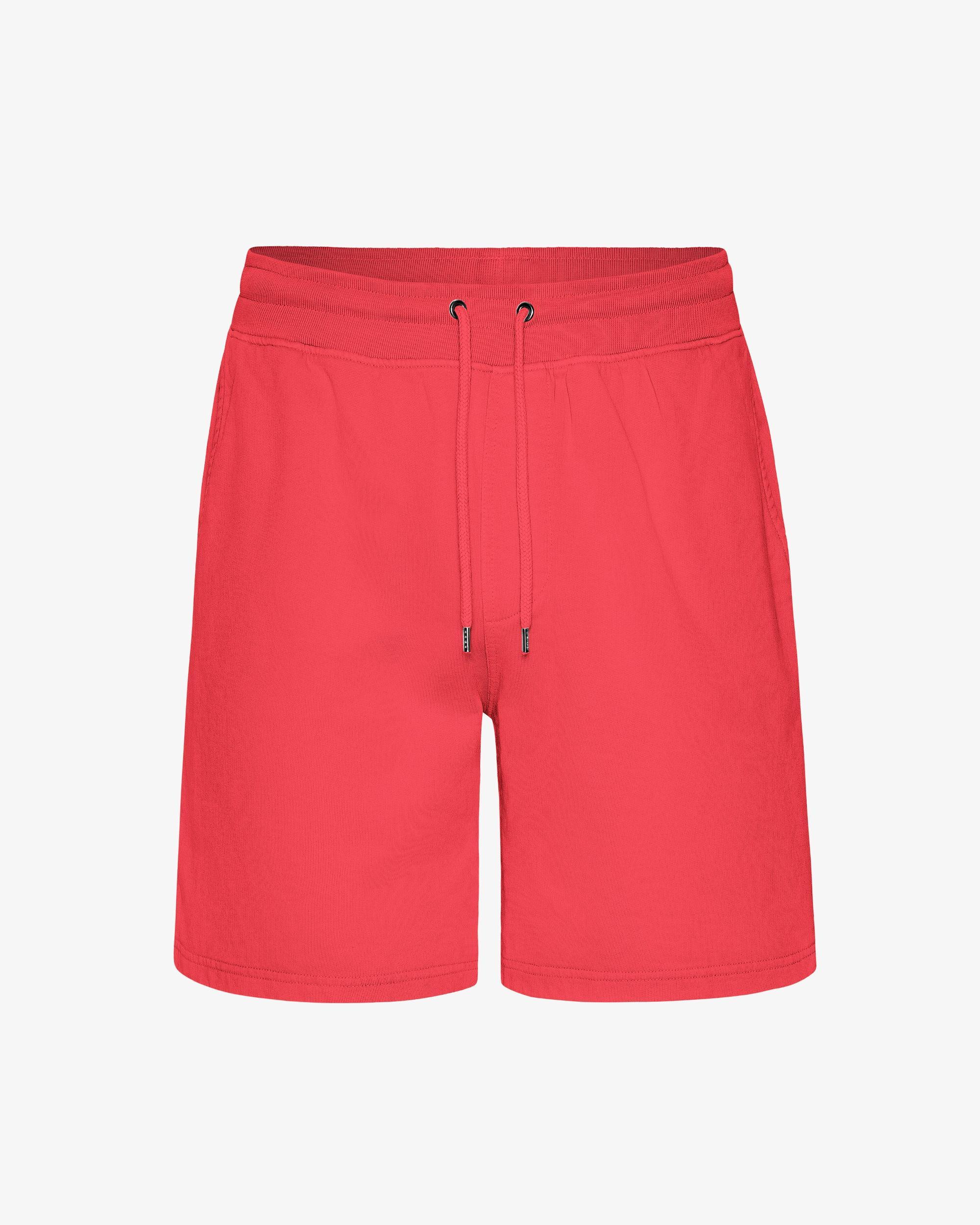 Classic Organic Sweatshorts - Powder Blue Product Image