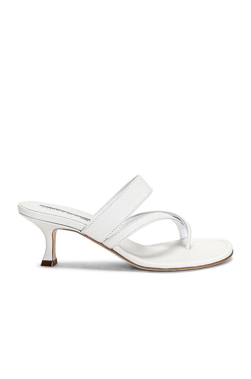 Manolo Blahnik Susa 50 Leather Sandal in Black - Black. Size 38.5 (also in 35.5, 36, 37.5, 38, 39, 39.5). Product Image