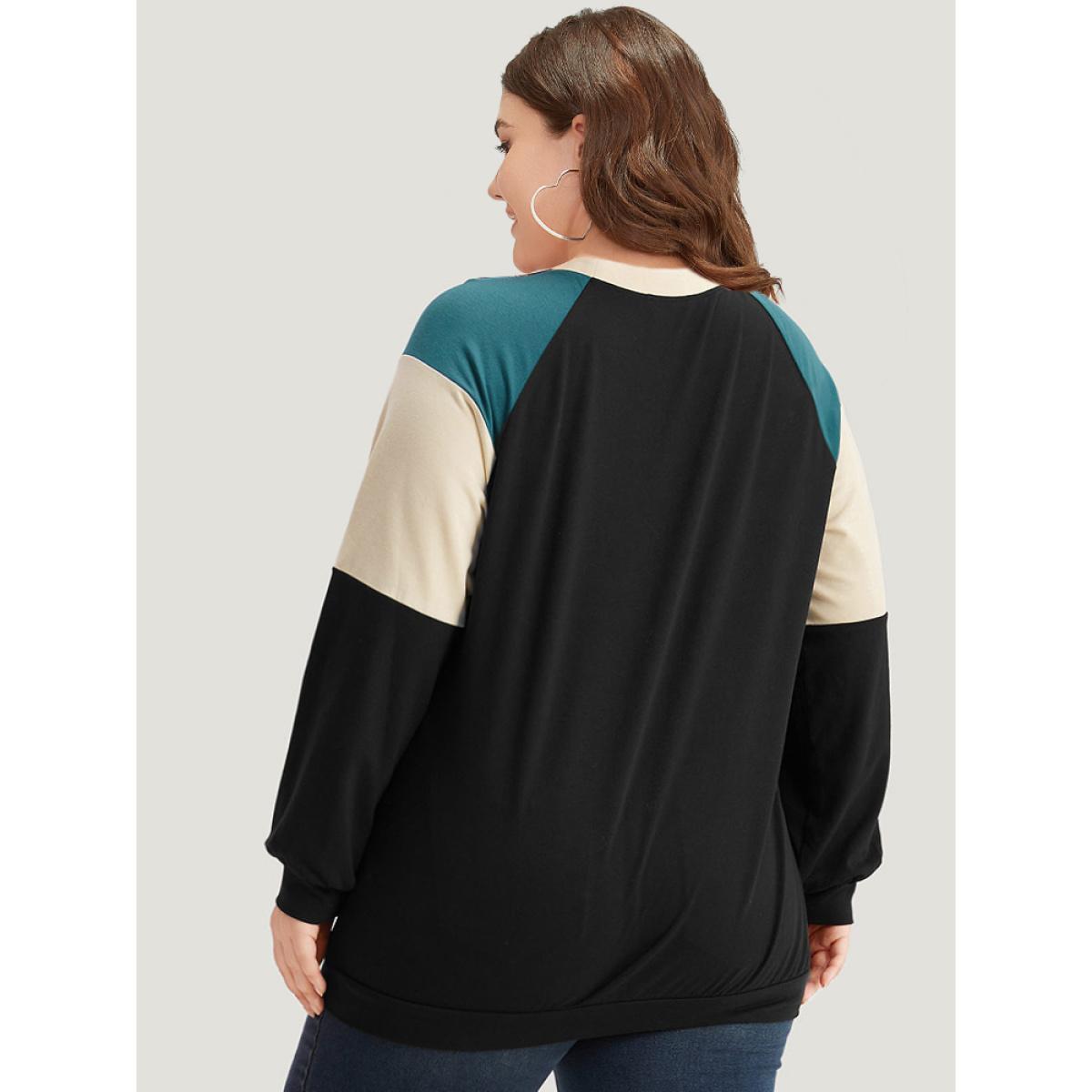 Plus Size Colorblock Contrast Raglan Sleeve Sweatshirt Women Black Casual Elastic cuffs Round Neck Dailywear Sweatshirts BloomChic 22-24/3X Product Image