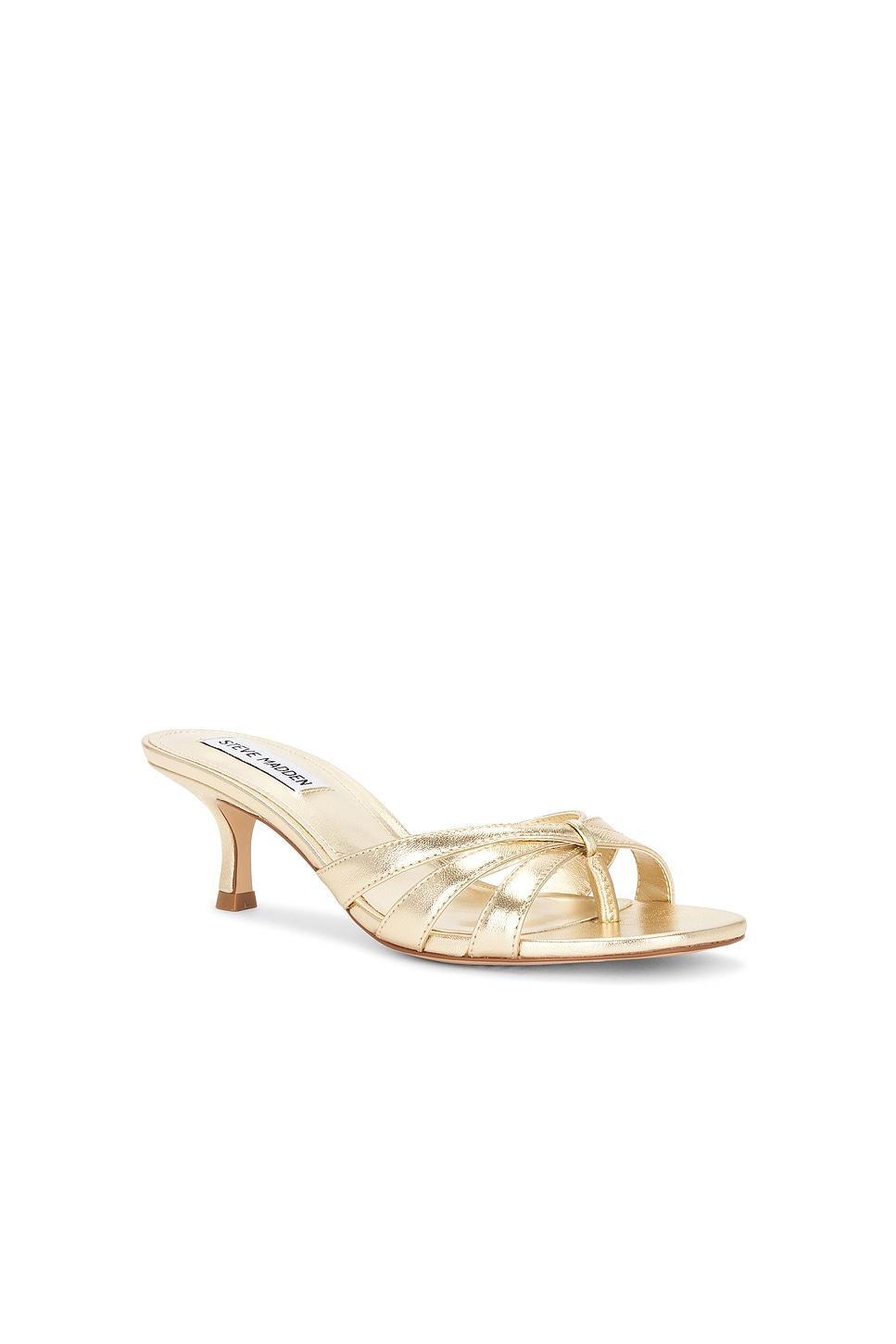 Cary Sandal Steve Madden Product Image
