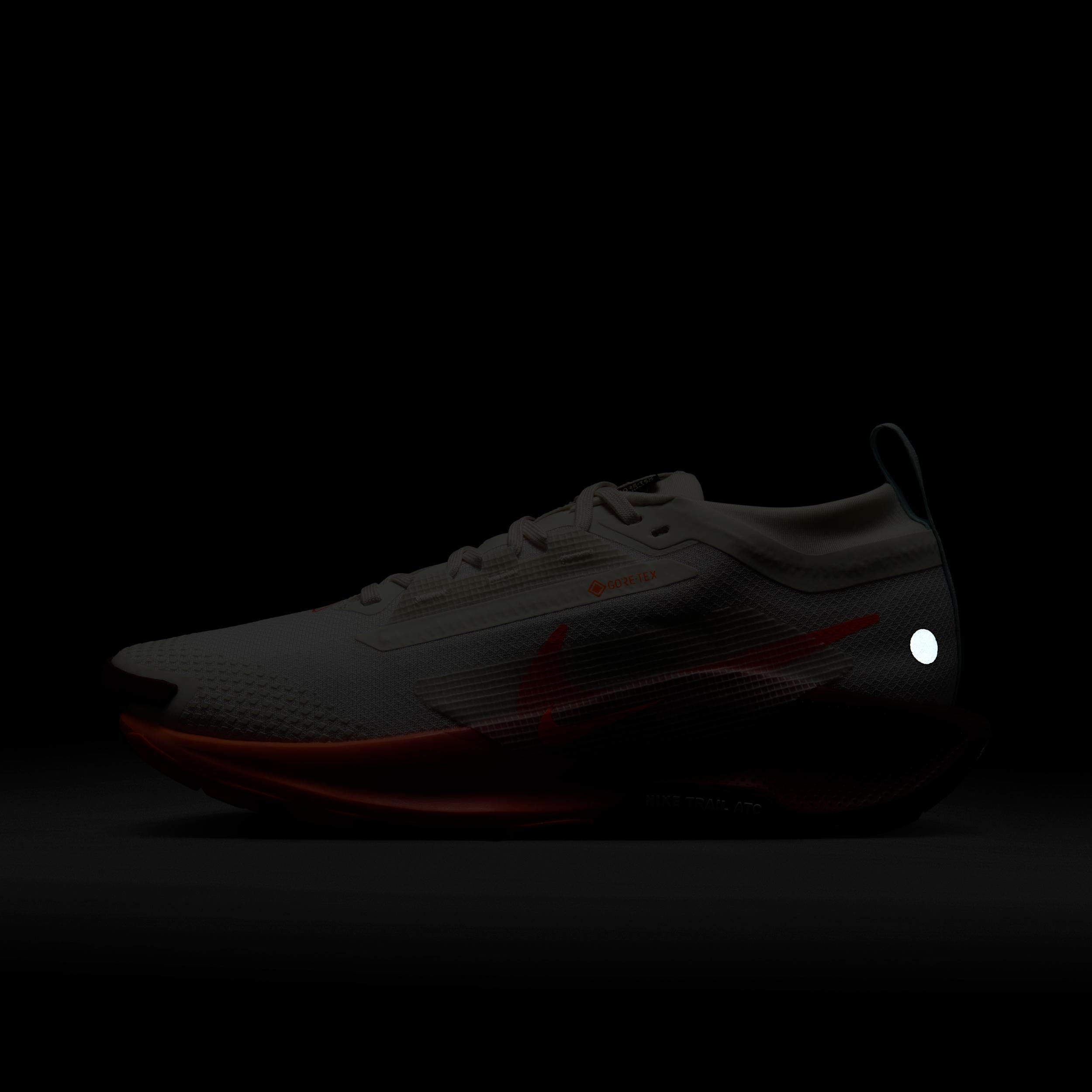 Nike Women's Pegasus Trail 5 GORE-TEX Waterproof Trail Running Shoes Product Image