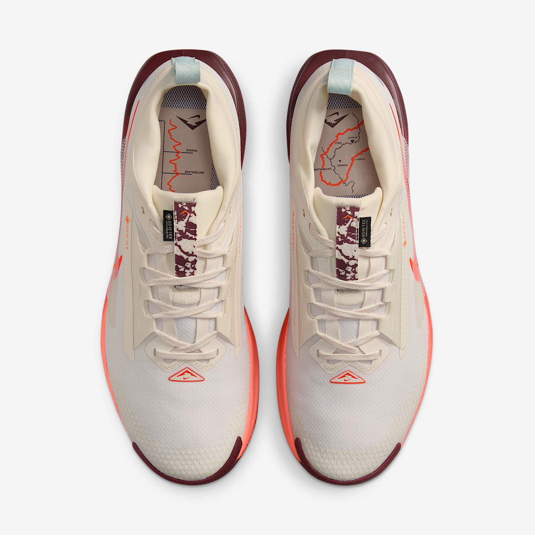 Nike Men's Pegasus Trail 5 GORE-TEX Waterproof Trail Running Shoes Product Image