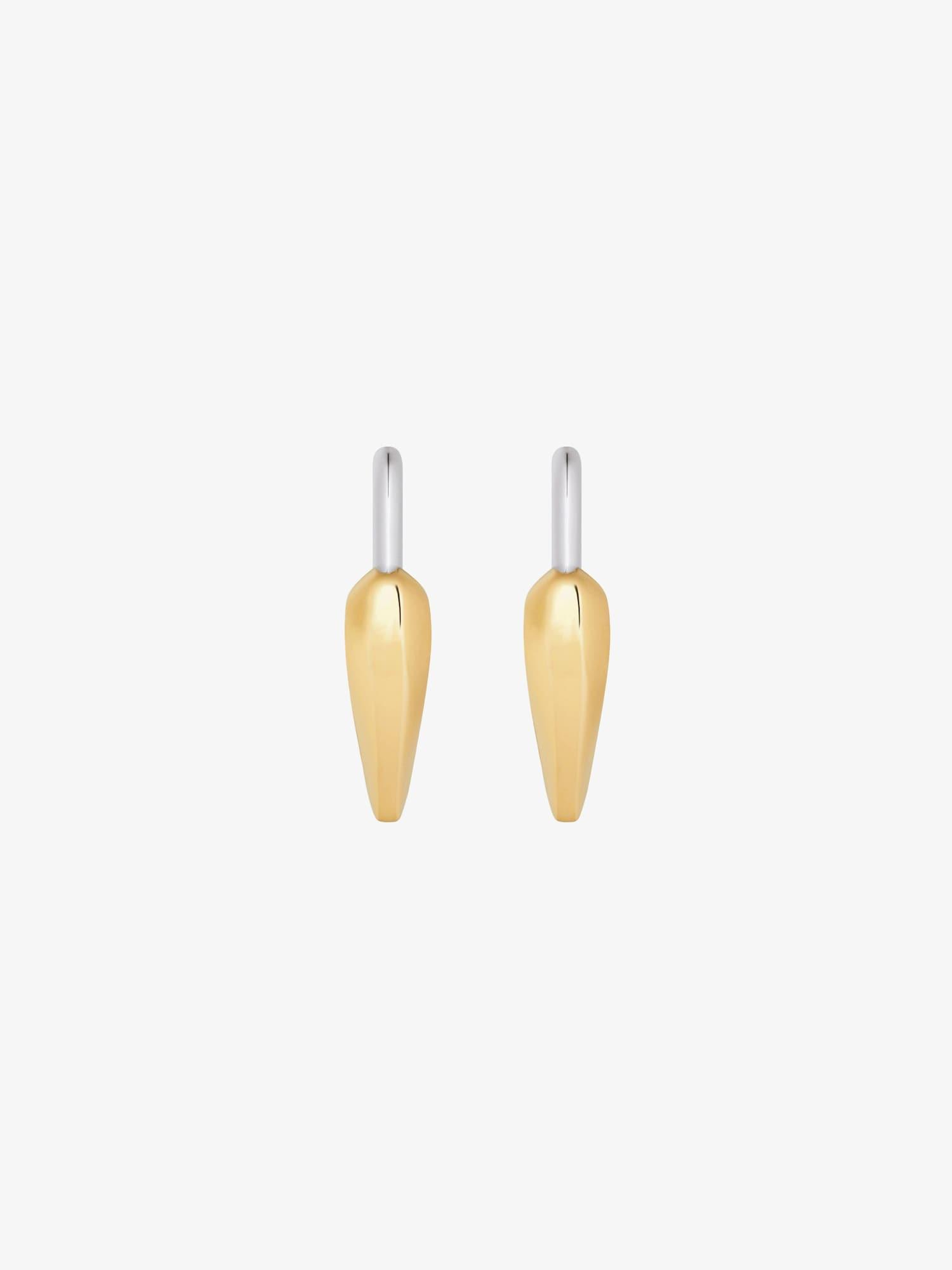 Heart Lock earrings in metal Product Image