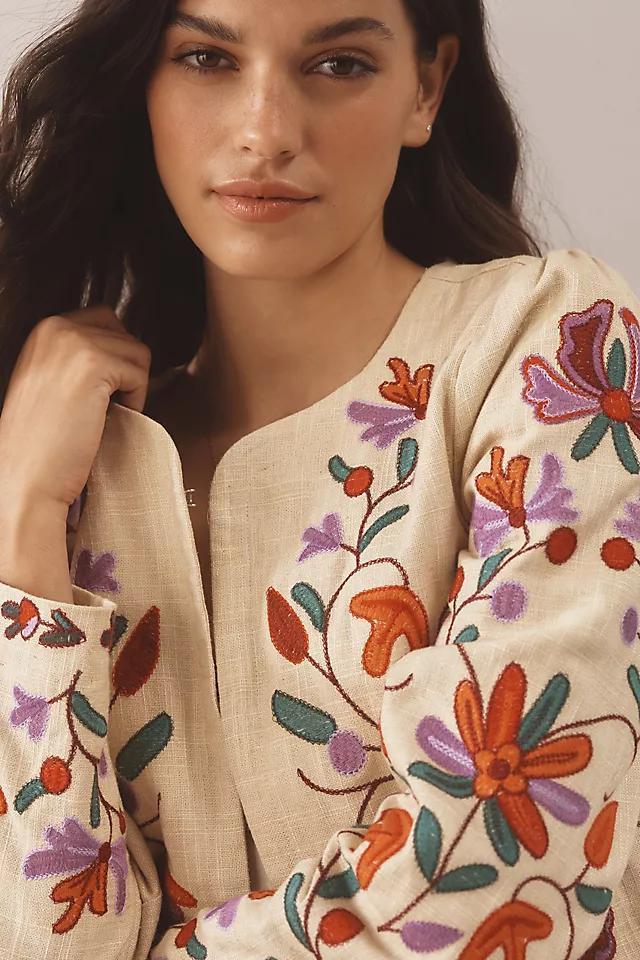 DOLAN Embroidered Linen Jacket Product Image